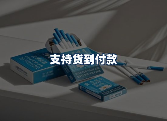 专业团队办公环境